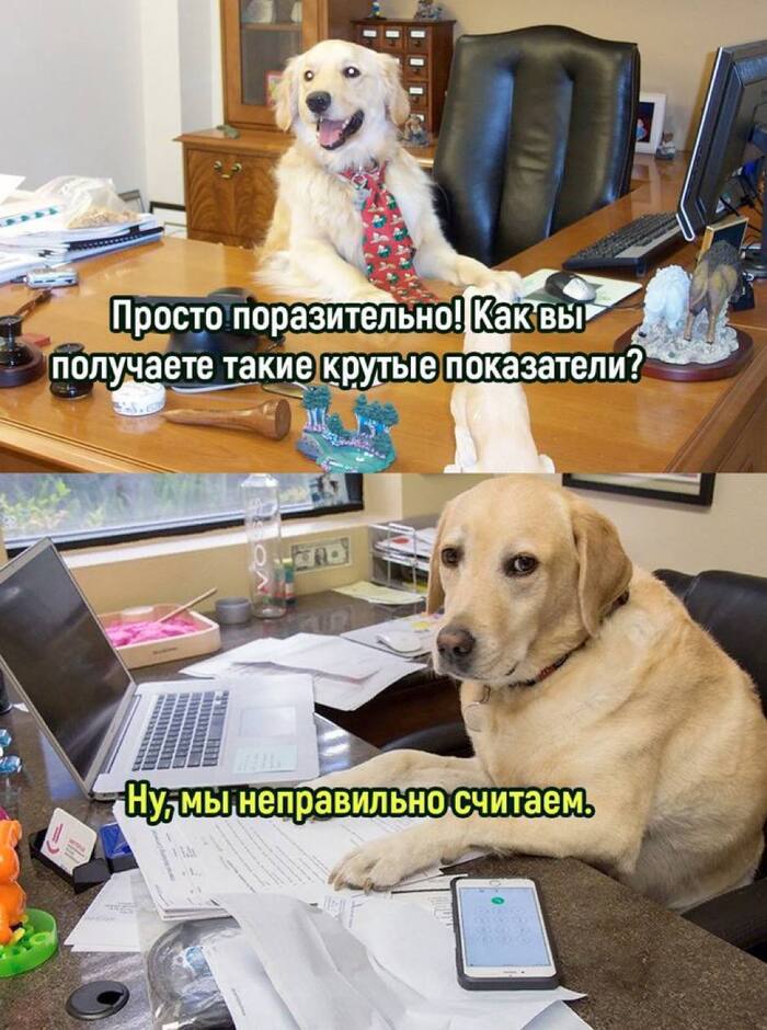 ! , , ,   