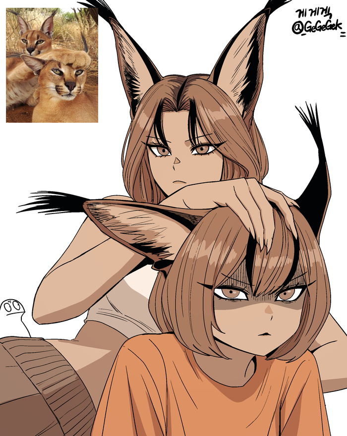    , , Anime Art, , Animal Ears, Gegegekman,  , , ,   