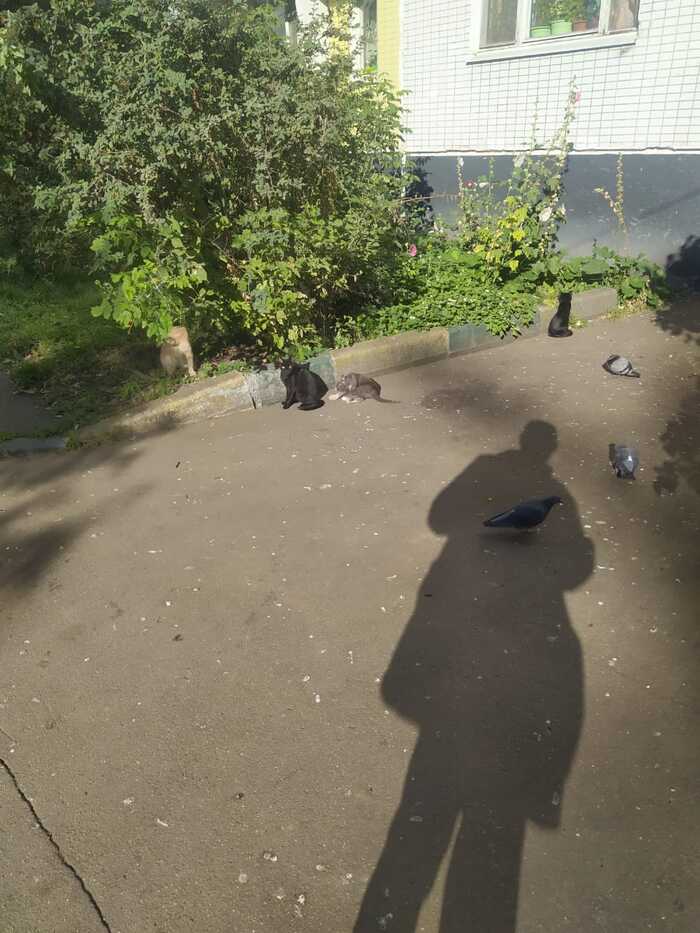  ? , ,  , , 