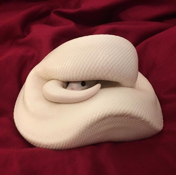 , !  , , , 