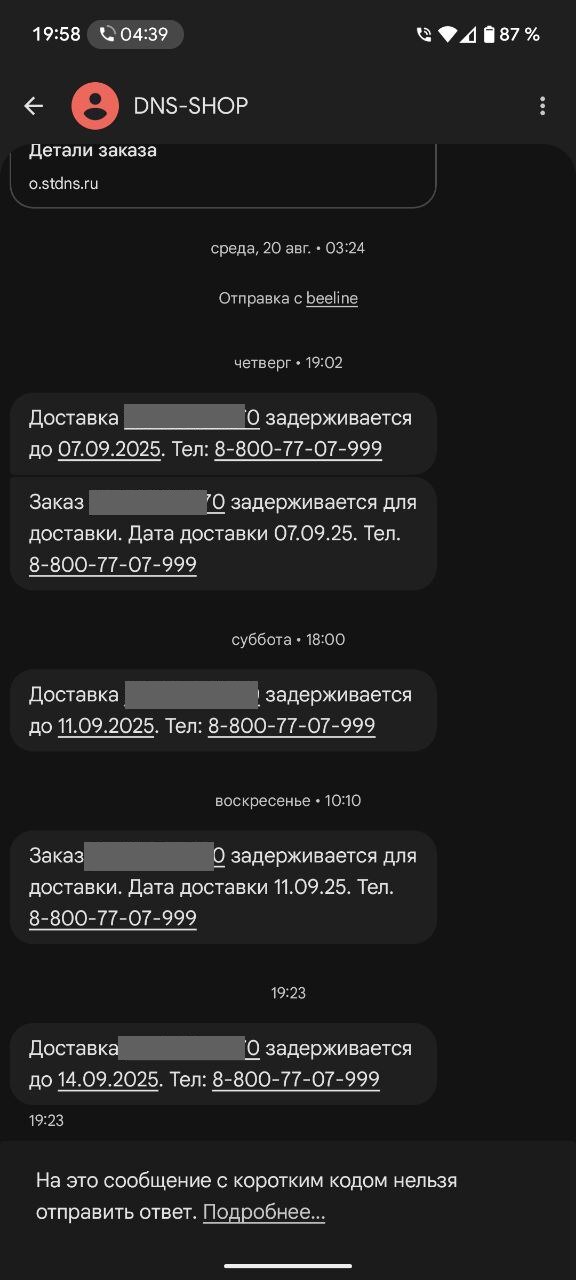 DNS, ,    " " , , OZON, DNS, , ,  ,  , 