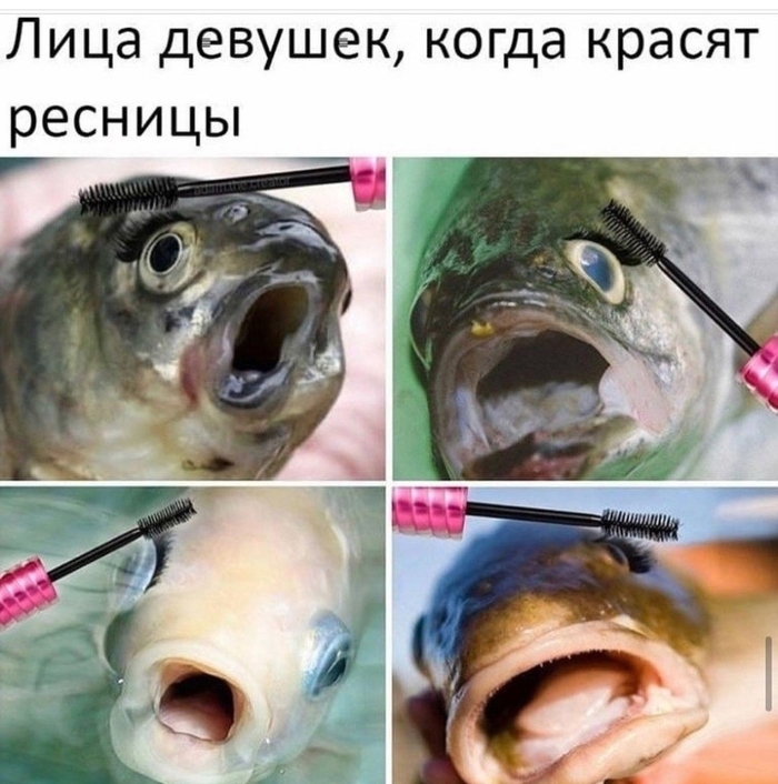  , , , 