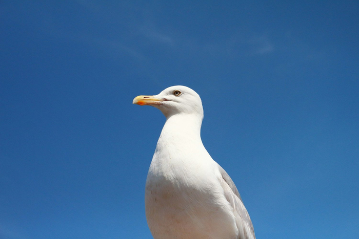       , , , , , ,  , , ,  