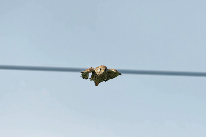     , , , ,  , ,  , ,  ,   , , 