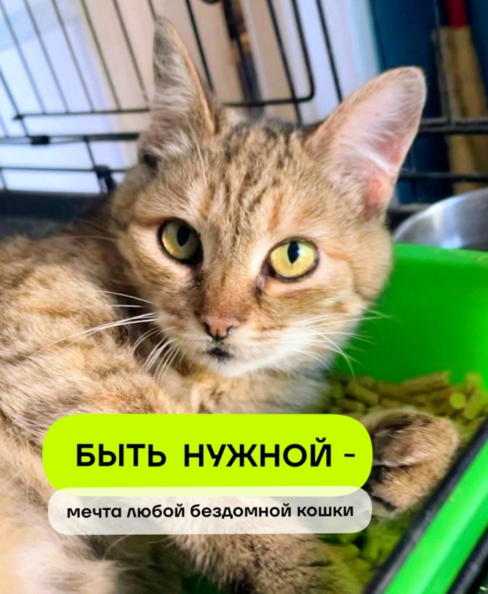     -    ...-     , ,   ,  ,  ,  , 
