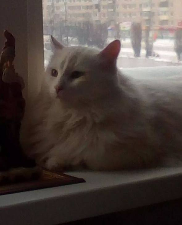 Наелся и спит