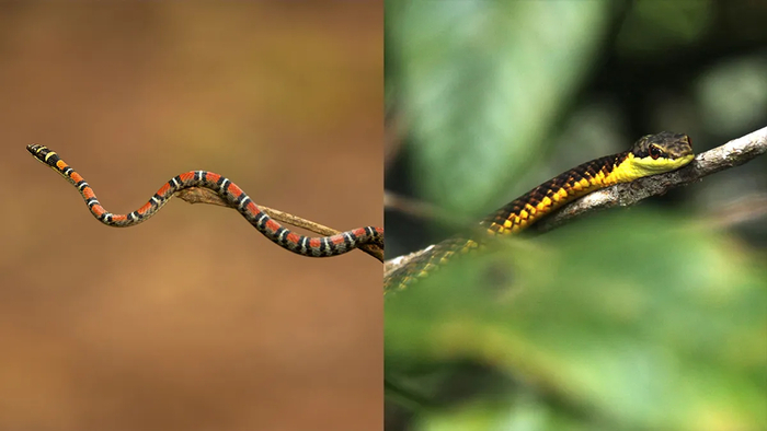    ()      ,     ()   . : freedom100m / <!--noindex--><a href="https://pikabu.ru/story/otvet_na_post_udivitelnoe_yavlenie_na_vodopade_13172172?u=http%3A%2F%2FShutterstock.com&t=Shutterstock.com&h=2377e513ad78ce01fb44e44c411eed8795b6d7ea" title="http://Shutterstock.com" target="_blank" rel="nofollow noopener">Shutterstock.com</a><!--/noindex--> / Guido Bohne /