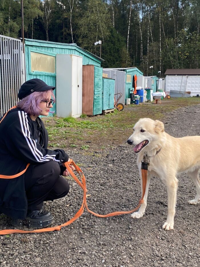 Пойдем в лес?