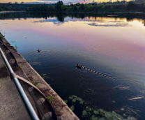 ��������� ����