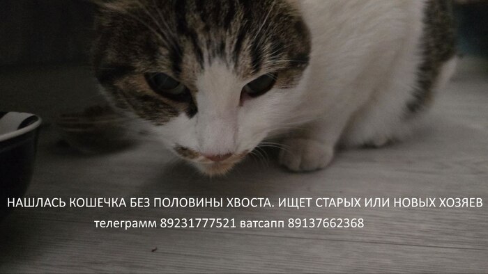   , , ,  ,  ,   