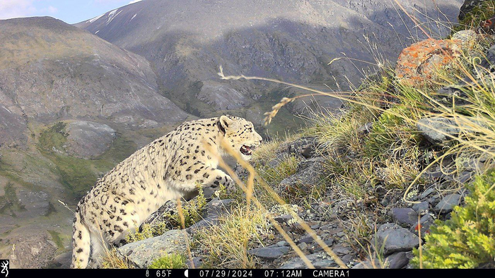 Последний рывок