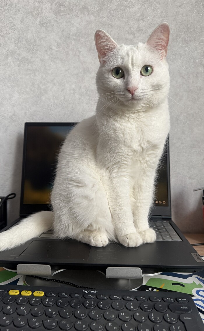    , , , , , 