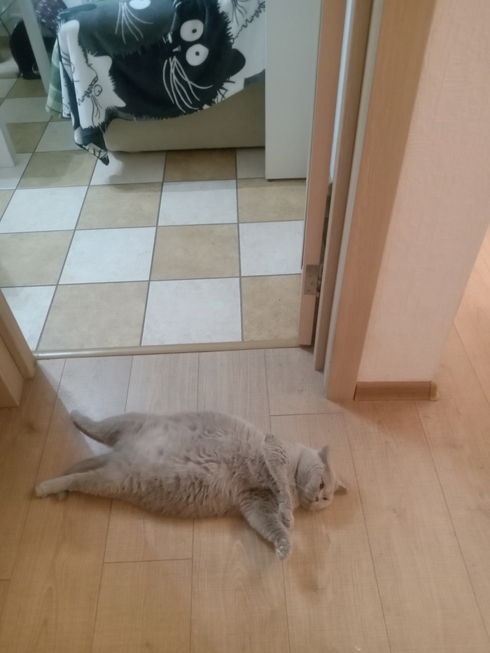   ,  ,  , 