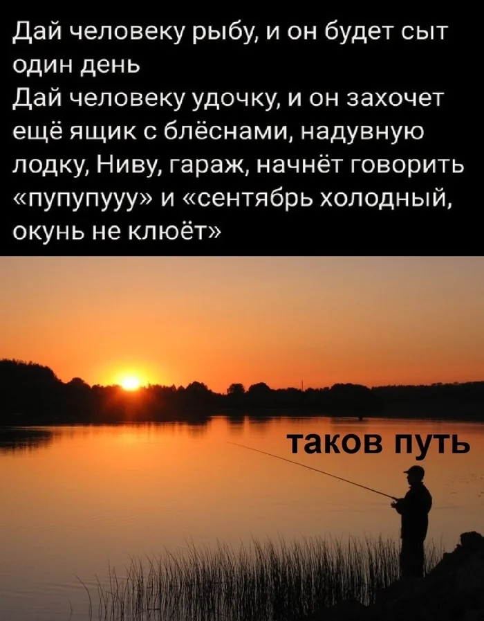 uihuwdyr.webp