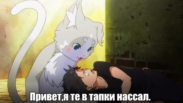     ,   , ,  , , 