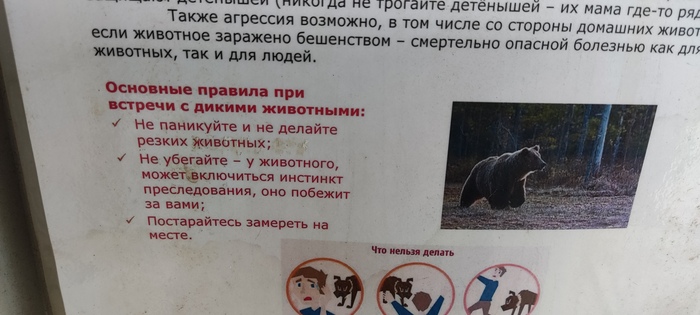 Резкие животные