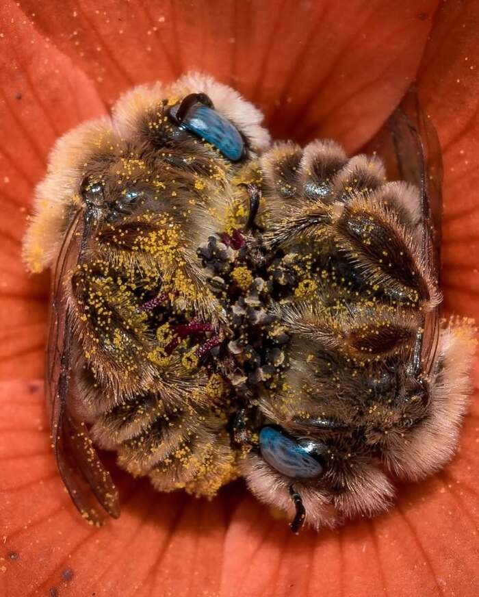     ? , , , , , ,   , , , , ,  