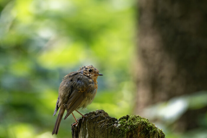 Не успел пожить-как очень устал