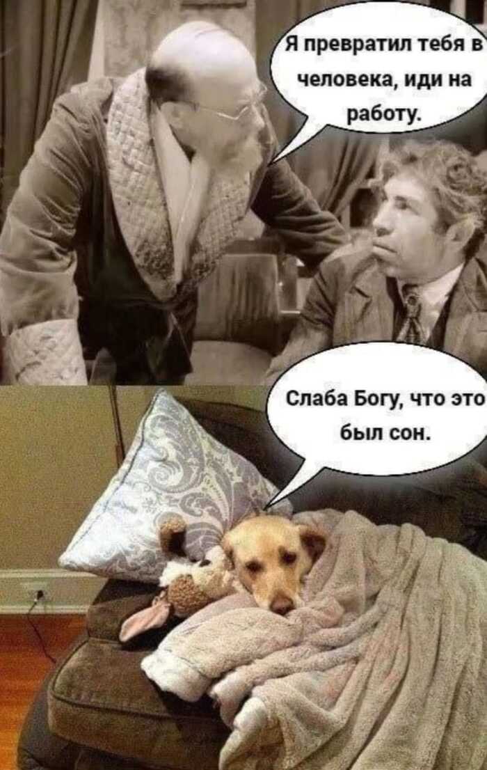   ,  21  , , , 