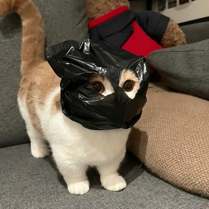  .    , , 