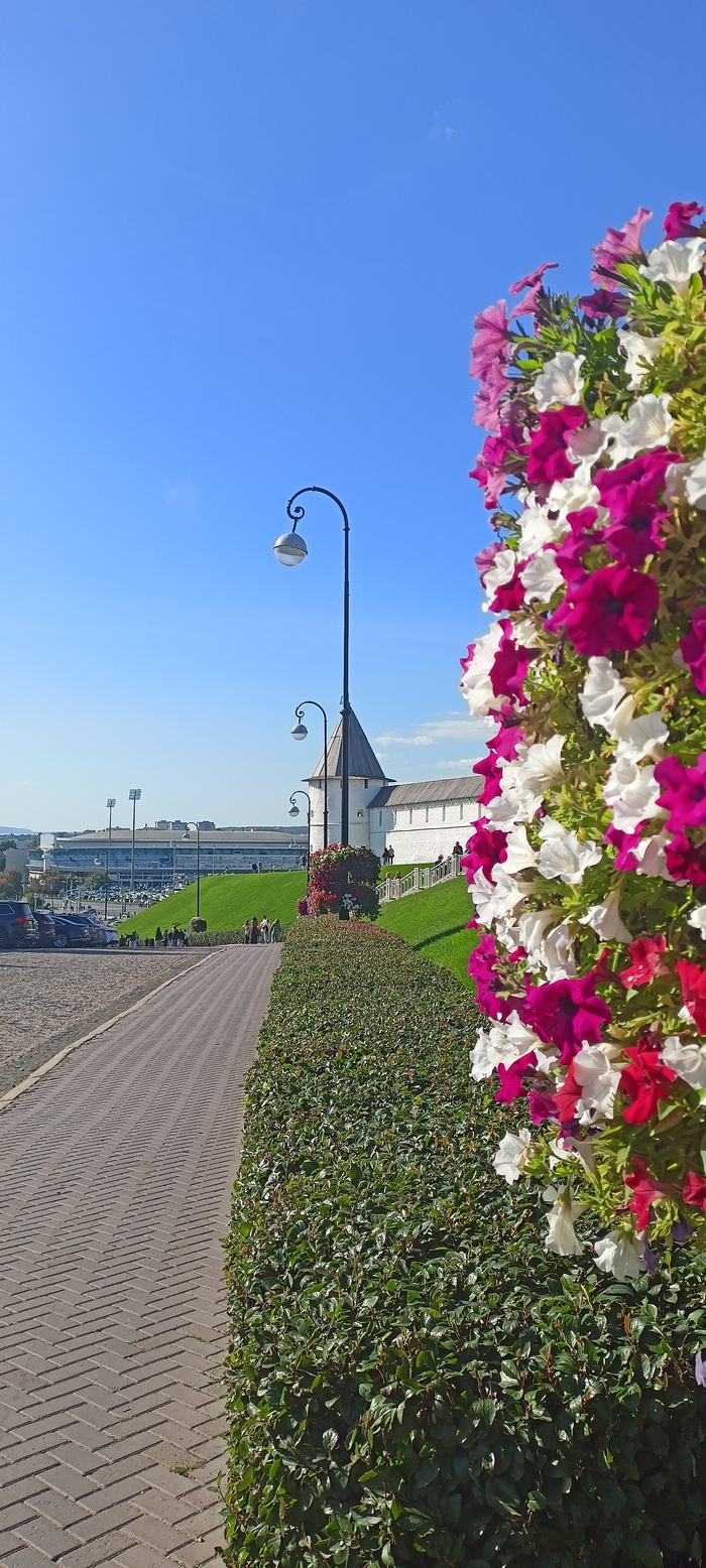 5. ������ ��� �� ���-�������� ����� ������&nbsp;