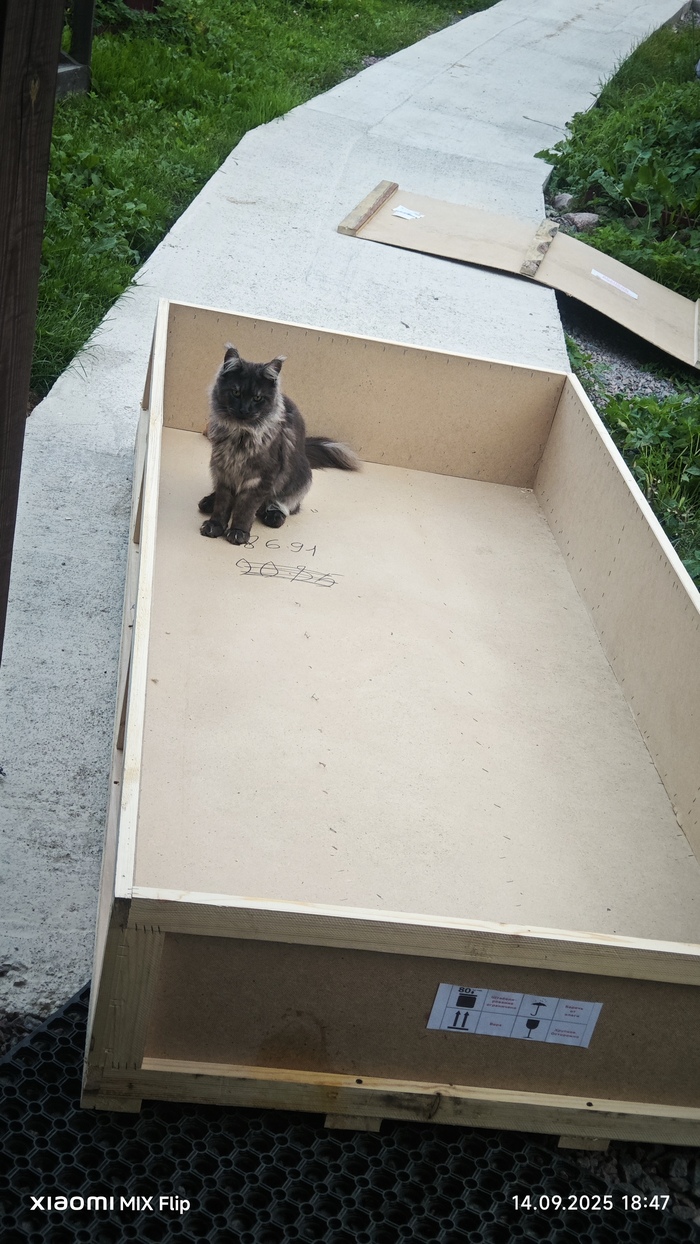 ! , -, ,  ,  , , , 