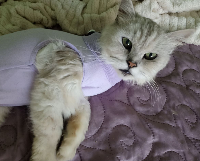 SOS!       , , , , ,  