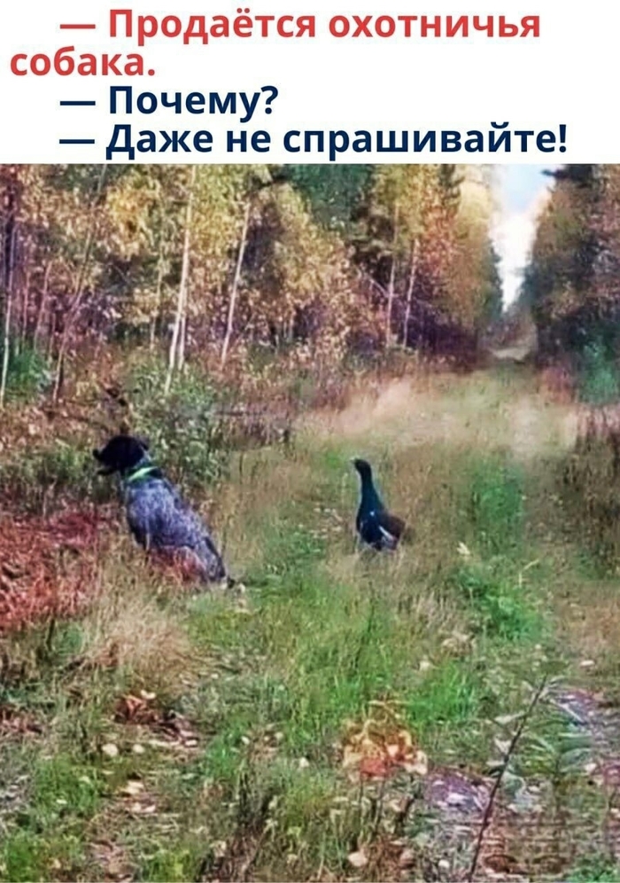 ,  