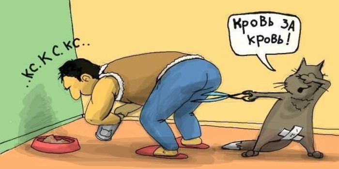     .    , , , ,  