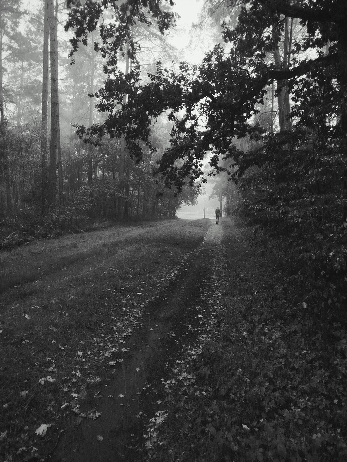 Германия, сентябрь 2025.