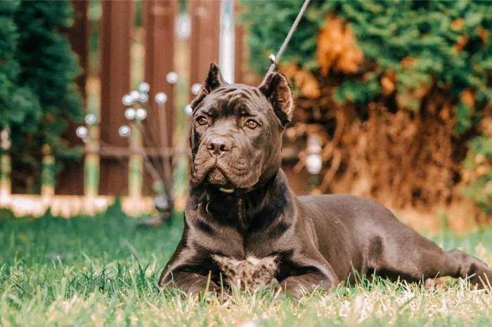 ��� ����� � �����) � ������ ������ ����� ����� �� ������