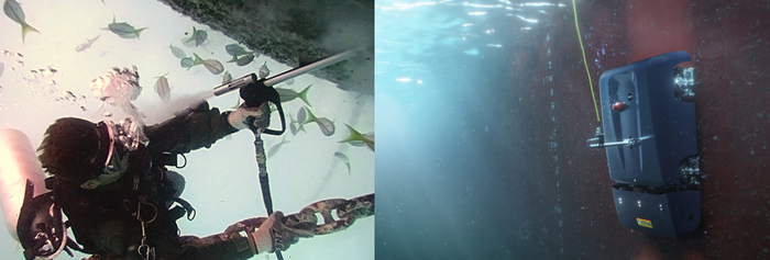 "Морская шуба" для кораблей: как ракушки за год превращают суда в неповоротливые бочки