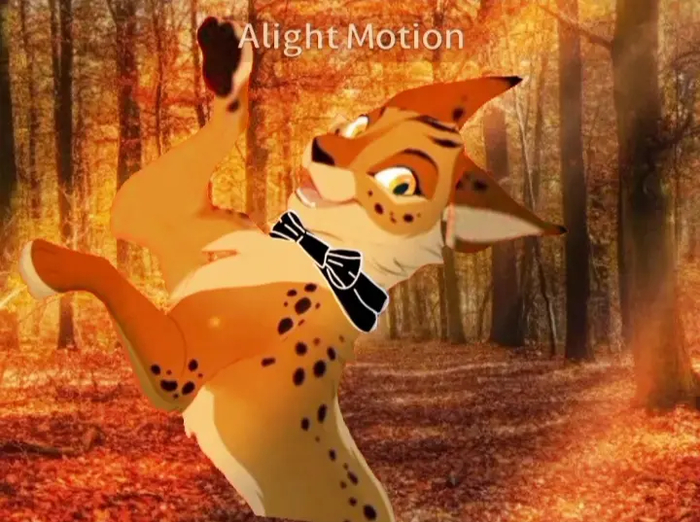 Рысь в осеннем лесу