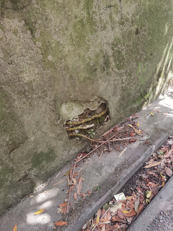 Природа, в конечном итоге, свое возьмёт.