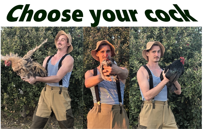 Вы куров продаете?