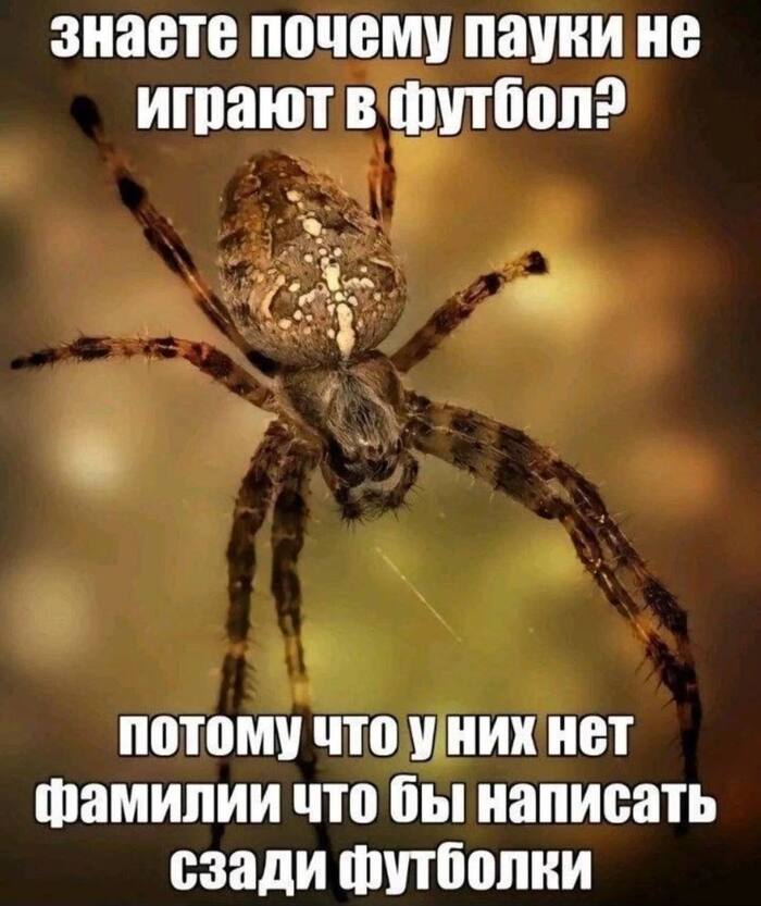 Теперь вы всё знаете...