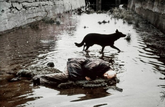 Кадр из фильма «Сталкер» (1979)