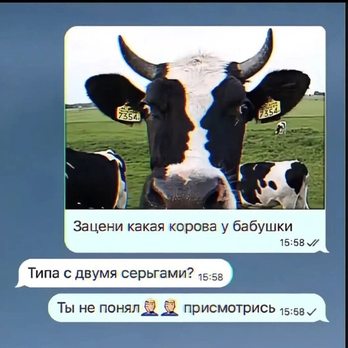  ...)))
