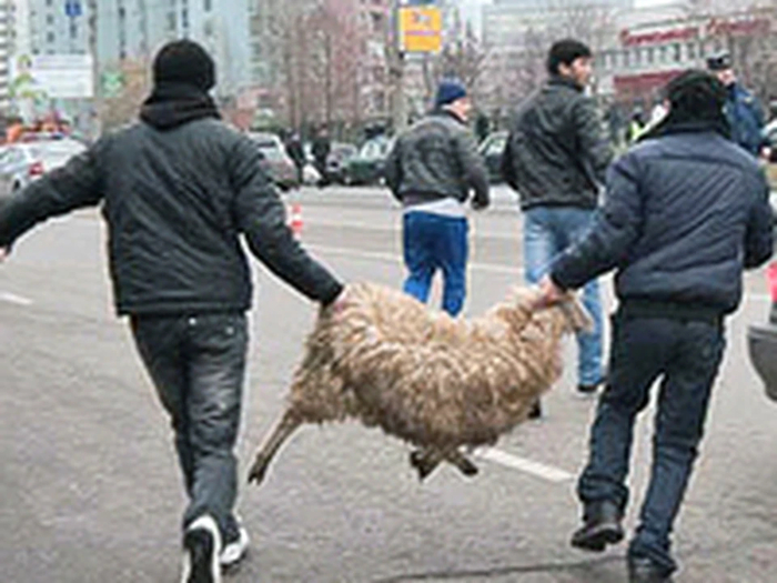 Ответ на пост «Очаково больше не покупаю»