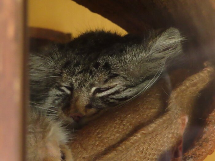 Только среда....просыпаемся и пашем товарищи...