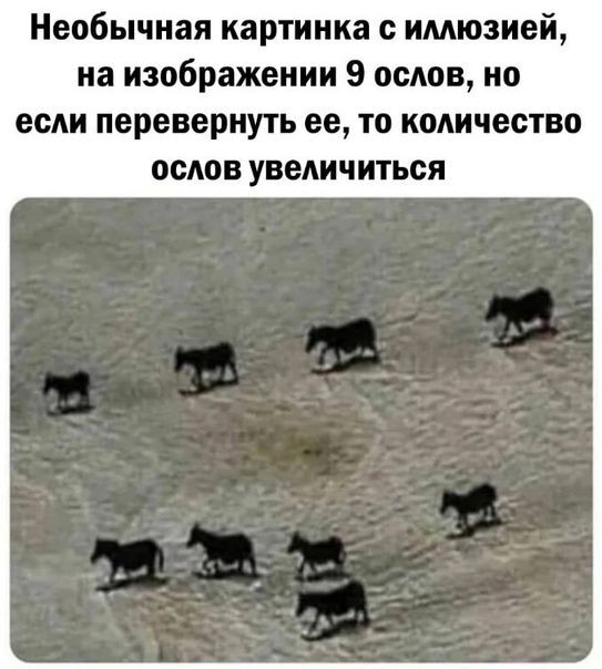  ,   ,   ,  , 