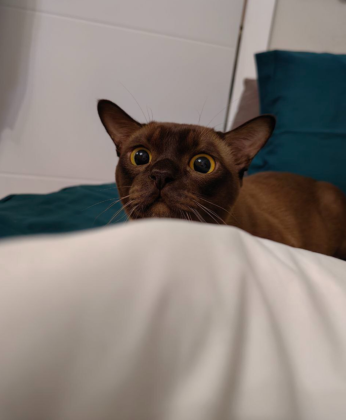 Ну что там? Среда?