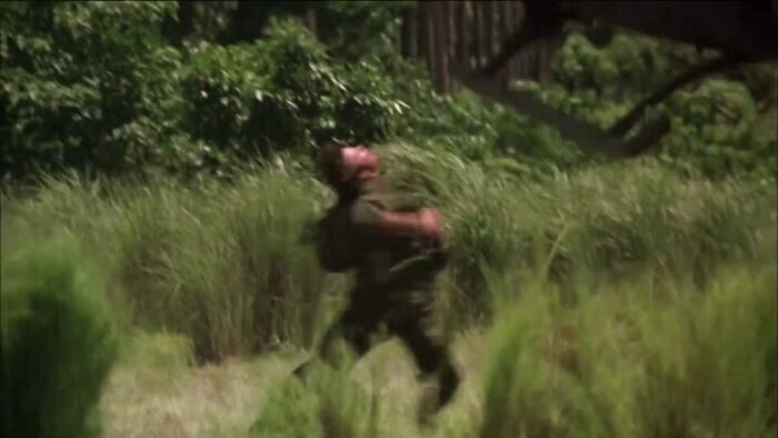 Скорее всего это лучший кадр со съёмок Франсуа у своего друга Карлоса