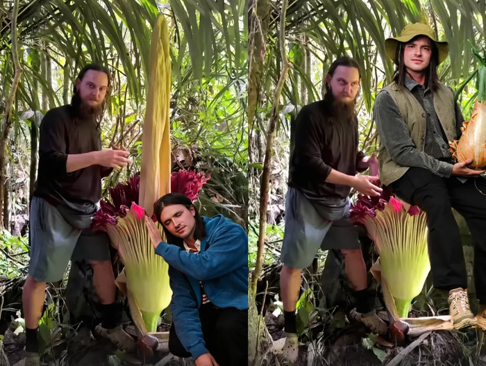 Ответ на пост «Самый большой цветок»