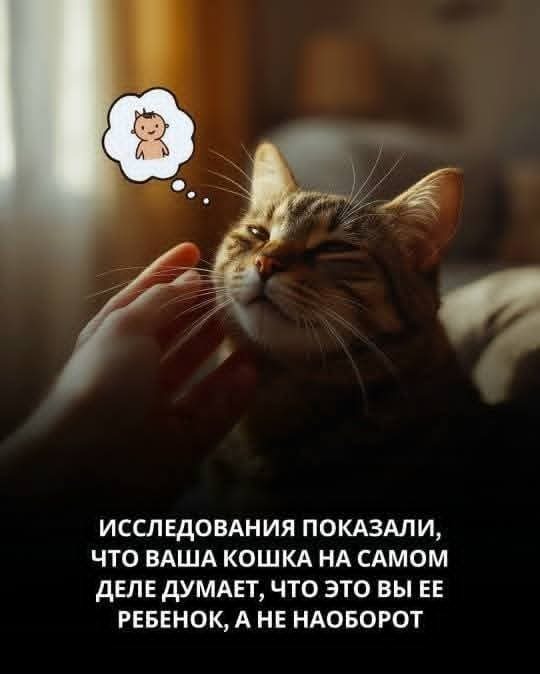 Разве такое возможно?