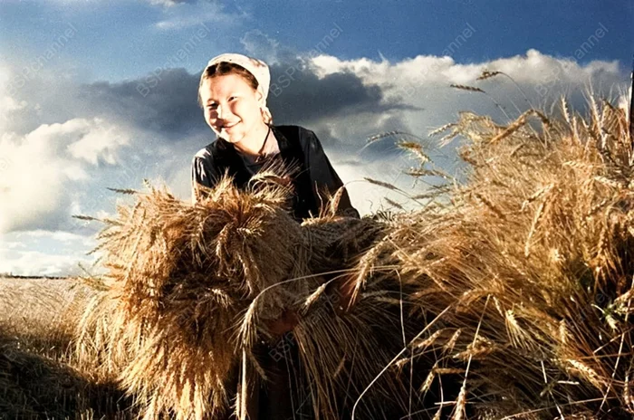 Фотограф: Сигизмунд Кропивницкий. Фотограф: Сигизмунд Кропивницкий.