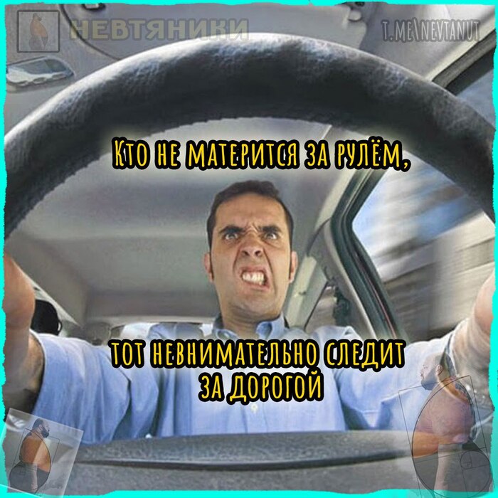   ,   , Telegram ()