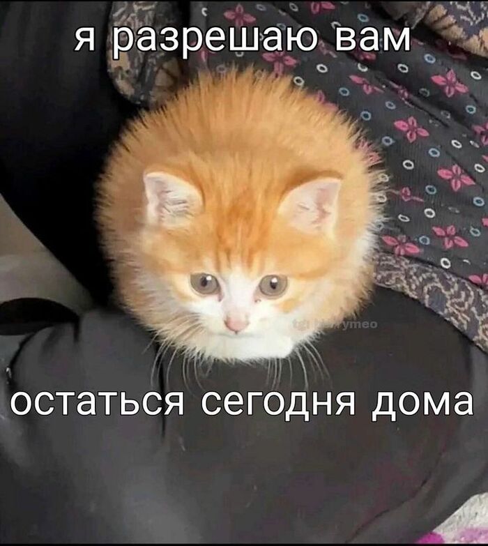 Почему нельзя пить антибиотики «на всякий случай»