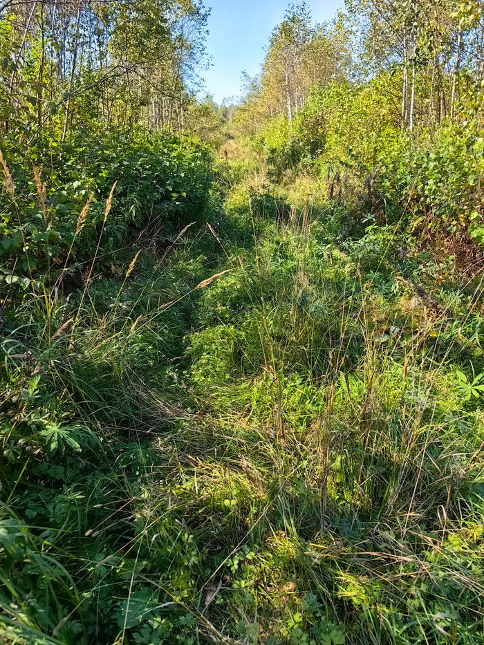 Ожидал всего километра.