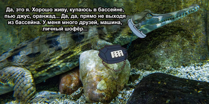         , , , , ,  , 